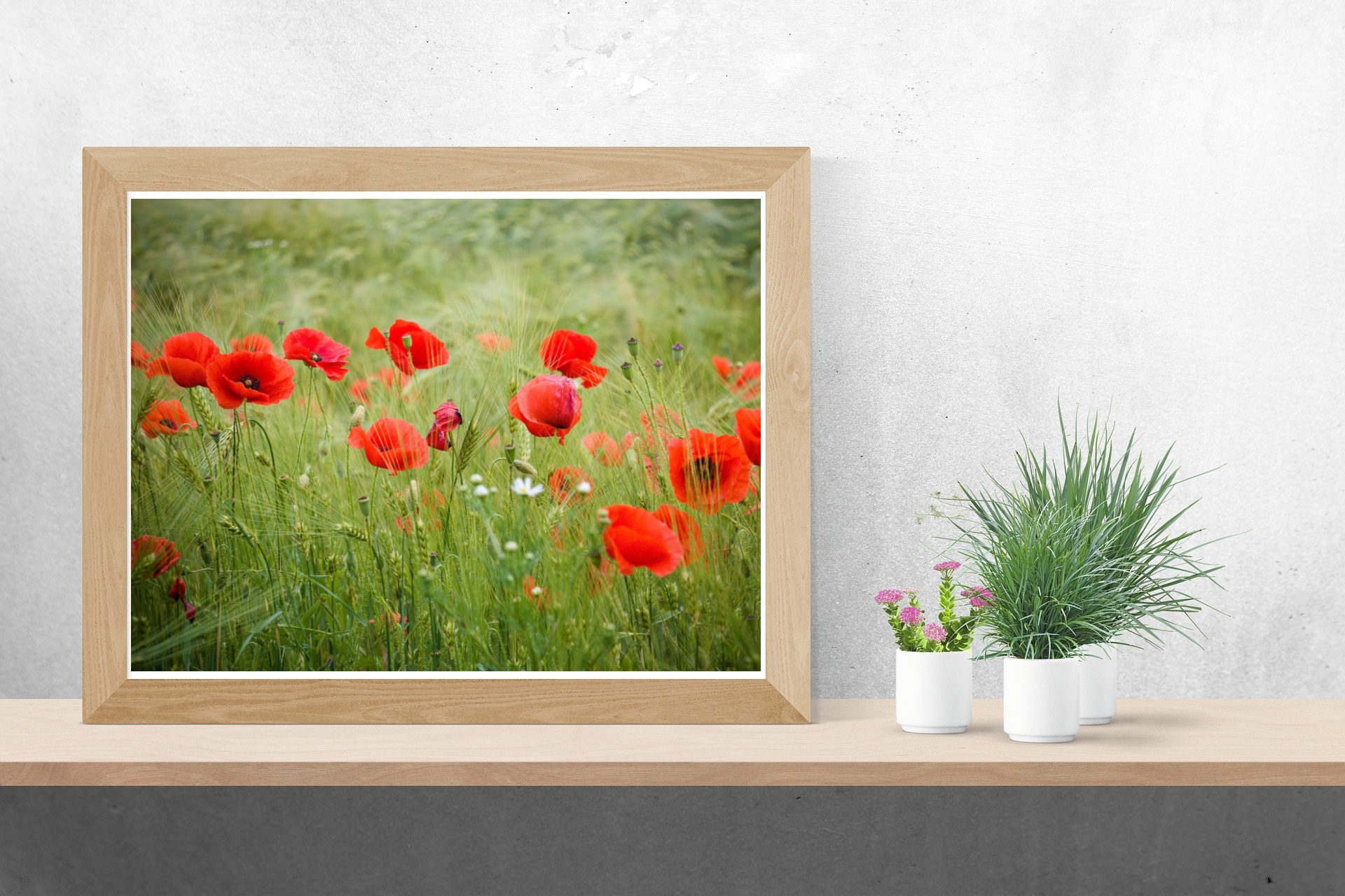mockup-gb2bf69134_1920.jpg